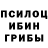 Галлюциногенные грибы прущие грибы Asy Sahanov