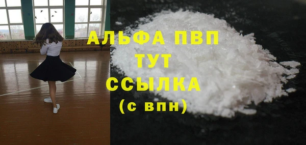 стаф Новодвинск