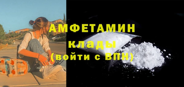 спиды Новозыбков