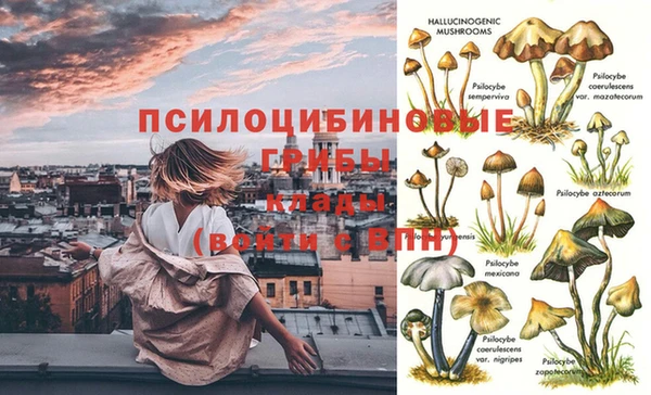 мдма Новокубанск