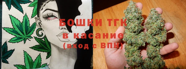 стаф Новодвинск