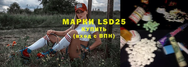 спиды Новозыбков