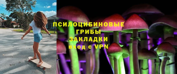 стаф Новодвинск