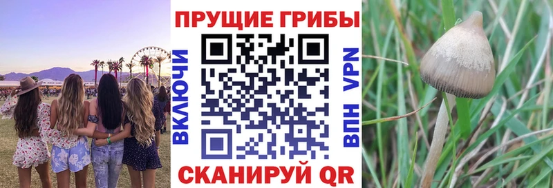 Псилоцибиновые грибы мухоморы  Армянск 